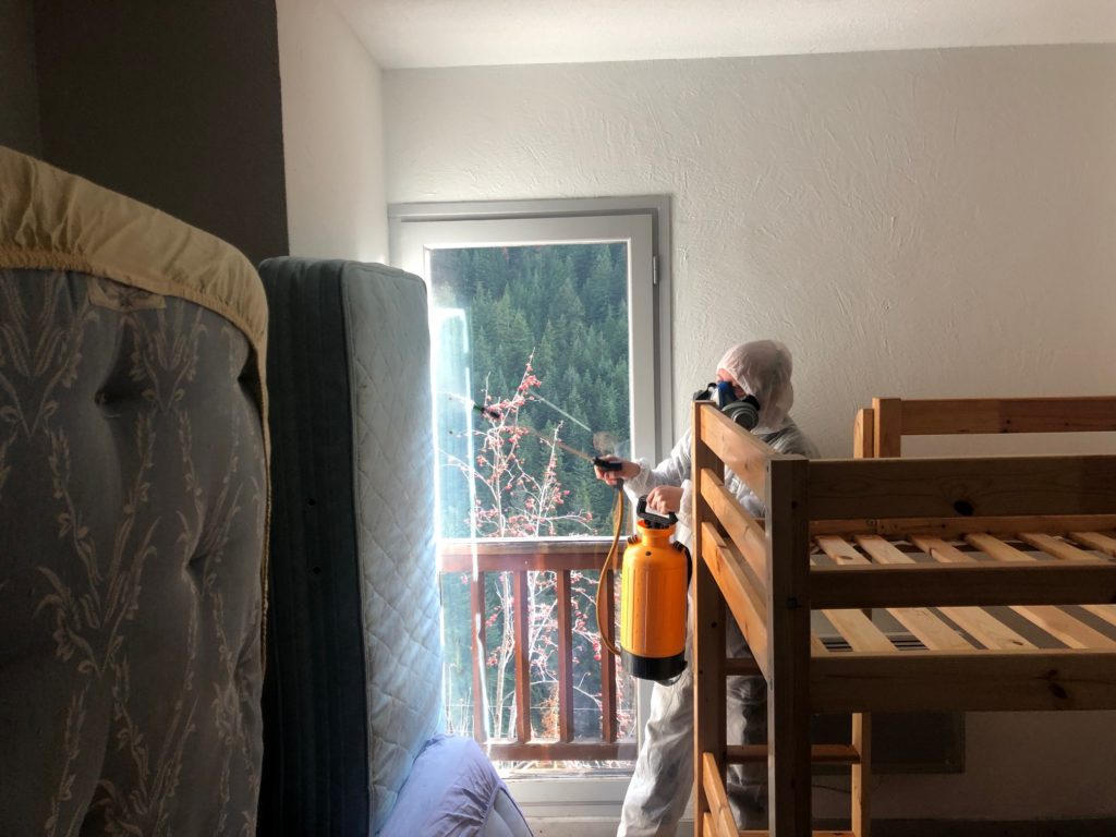 Traitement des punaises de lit à la vapeur sèche haute température